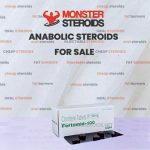 Clomid 100mg