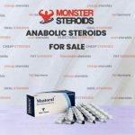 Mastoral